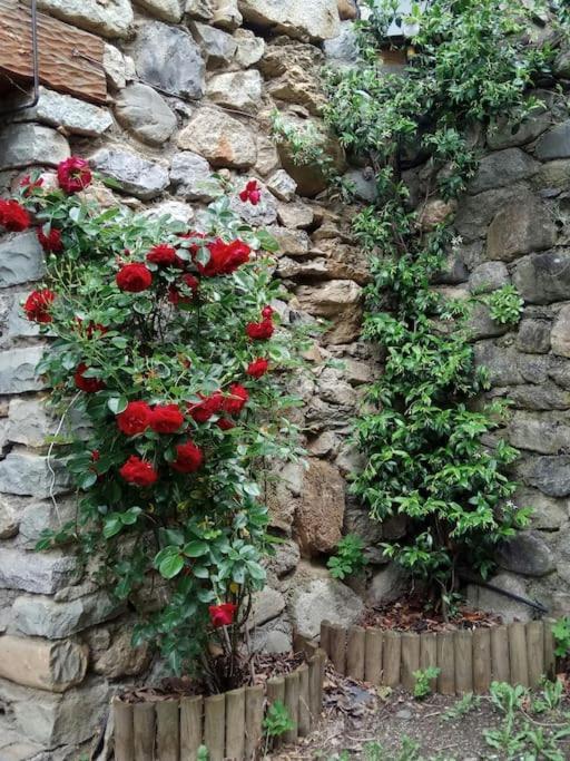 La Borda De Sesue Villa Exterior photo